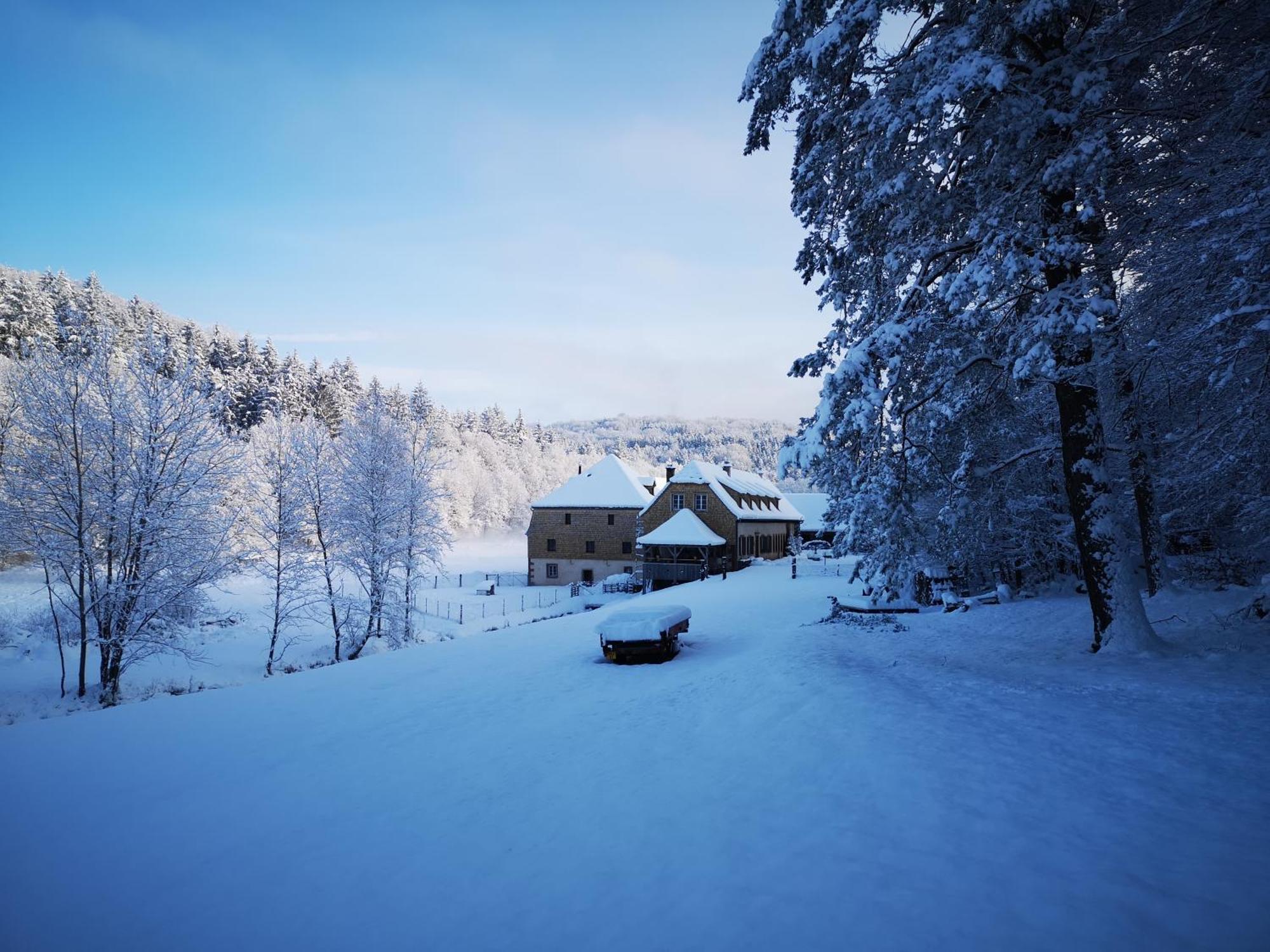 Maison D'Hotes De Charme - Ancien Moulin En Pleine Nature - La Paulusmuehle Soucht Экстерьер фото