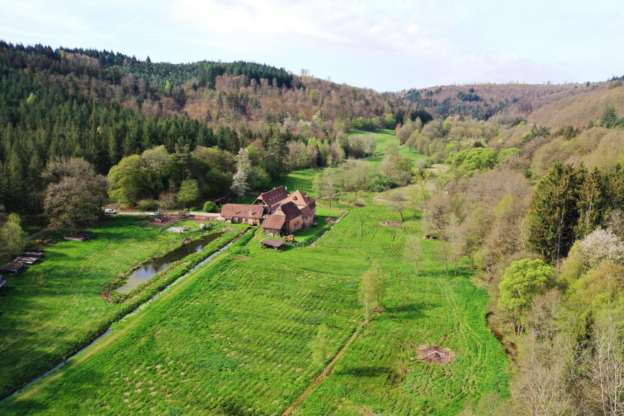Maison D'Hotes De Charme - Ancien Moulin En Pleine Nature - La Paulusmuehle Soucht Экстерьер фото
