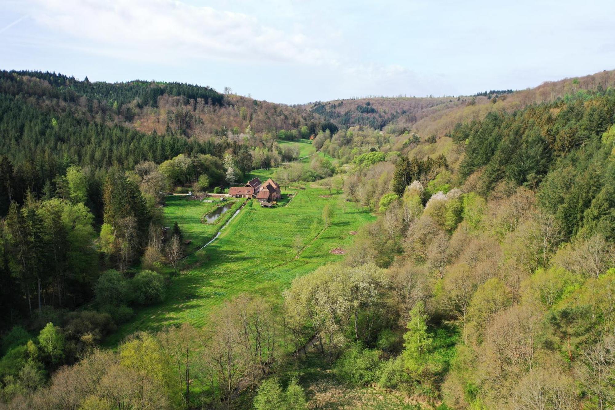 Maison D'Hotes De Charme - Ancien Moulin En Pleine Nature - La Paulusmuehle Soucht Экстерьер фото